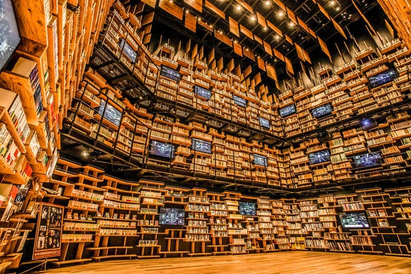 【群馬県内発】 ~街のような図書空間へ~角川武蔵野ミュージアムと角川食堂ランチビュッフェ 3月にリニューアル!世界初の公立「盆栽美術館」と春バラ鑑賞1